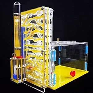 8bayfa Ant Farm Toy Formicaio R1 con Alimentazione Area Ant Farm Acrilico Insetti Gabbie Villa Pet Mania for Casa…