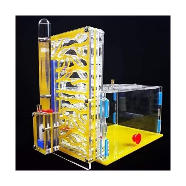 8bayfa Ant Farm Toy Formicaio R1 con Alimentazione Area Ant Farm Acrilico Insetti Gabbie Villa Pet Mania for Casa…