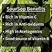 100% Natural Soursop Tea by Source Nutrition - Pure Graviola Tea, Cut and Sifted Leaves, High in Acetogenins - 30 Tea Bags With Resealable Pouch (Soursop Tea)