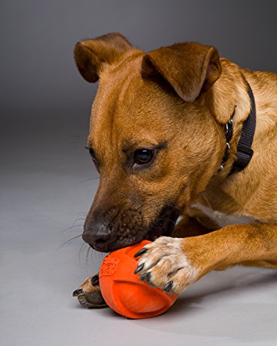 Hartz Dura Play Bacon Scented Dog Ball - Medium (Colors Vary)