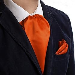 Dan Smith Orange Ascot Tie For Men Cravat