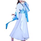 Women's Chinese Hanfu Dress Han Dynasty Costume