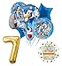 Mayflower Products Sonic The Hedgehog 7th Birthday Party Supplies and Balloon Decorations