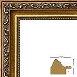 Craig Frames 6301 11 by 14-Inch Picture Frame, Smooth Brushed Ornate Finish, 1.325-Inch Wide, Gold