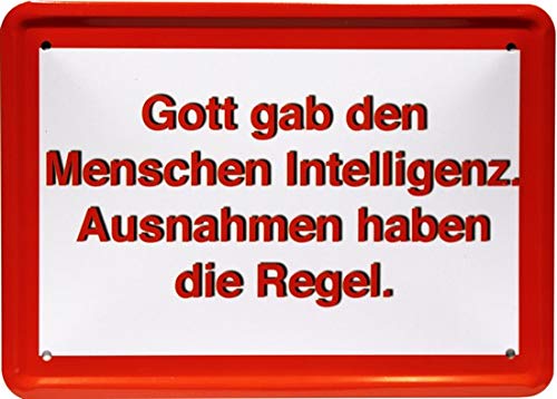 Blechschild mittel MJ 218 Tin Sign 15 x 21 cm God gave the People Intelligenz Exception Funny Saying