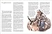 Pronghorn Hunting (The Complete Hunter)