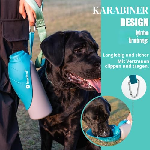 LumoLeaf Insulated Stainless Steel Water Bottle for Dogs 800ml - Keeps Water Cool or Warm for Hours Durable & Portable for Travel, Wide Mouth for Easy Filling & Cleaning (Bleu, 800ml)