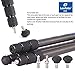 Leofoto LS-284C-LH-30 Tripod Kit LH-30 Carbon Fiber CF 4 Section & 30mm Low Profile Ball Head