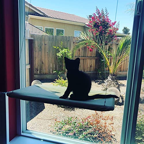 NOYAL Cat Window Perch Seat Hammock Strong Suction Cups Holds Up to 30lbs(Extra 2 Suction Cups