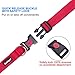 beebiepet 2 Packs Classic Dog Collar with Quick Release Buckle Adjustable Dog Collars for Small Medium Large Dogs (M Neck 14″-19″, Red)thumb 3
