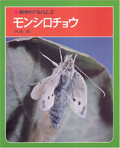 モンシロチョウ 科学のアルバム 矢島 稔 本 通販 Amazon