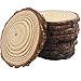 Natural Wood Slices 10 Pcs 4