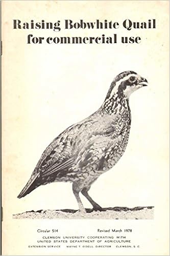 Raising Bobwhite Quail For Commercial Use Circular 514 Department Of Agriculture Amazon Com Books