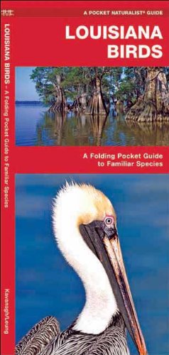 Download Louisiana Birds: A Folding Pocket Guide to Familiar Species (Pocket Naturalist Guide Series)