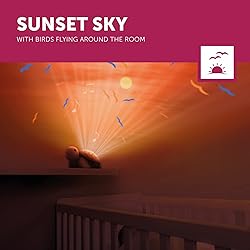 Zazu Tim The Turtle Projector - Baby Slumber