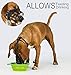 BARKLESS Dog Muzzle, Soft Basket Silicone Muzzle for Dogs to Prevent Biting and Chewing, Breathable Cage Mouth Cover for Training, Allows Drinking and Panting, Used with Collar