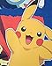 Official Pokemon Characters Boy's Hoodie