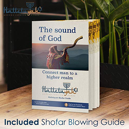 HalleluYAH Set of Shofar Stand, AntiOdor Spray, Shofar from Israel