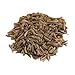Food to Live - Dill Seeds Whole, 3 Pounds Kosher, Raw, Vegan, Bulk