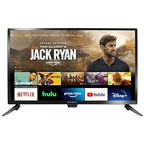 Insignia NS-24DF310NA21 24-inch Smart HD 720p TV – Fire TV