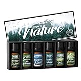 HIQILI Nature Fragrance Oil 6x10ml, Scented Oil for