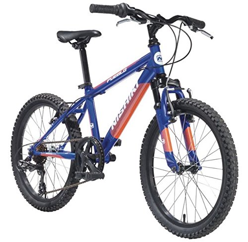 nishiki boys bike