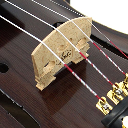 image for TLY Solid Wood Professional Acoustic Violin 100% Handmade Varnished Na