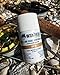 Waxhead Tinted Zinc Sunscreen Stick Face SPF 30 - Reef Safe Sunscreen, Tinted Zinc Oxide Stick Biodegradable, Waterproof, Skin Tone, Food-Grade, Non-Nano, Natural Non-Toxic Kids, Surfing (Tint, 3.7oz)