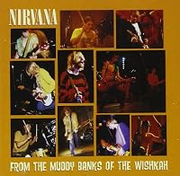 Nirvana Ablum Cover