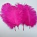 Sowder 20pcs Natural 10-12inch(25-30cm) Ostrich Feathers Plume for Wedding Centerpieces Home Decoration(Fuchsia)