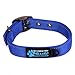 Max and Neo MAX Reflective Metal Buckle Dog Collar - We Donate a Collar to a Dog Rescue for Every Collar Sold (Small, Blue)
