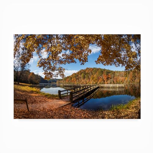 Trademark Fine Art Outdoor Canvas Art - Celebrate Life Gallery 'Maple Trees at…