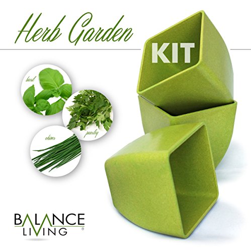 Balance Living Herb Seeds Growing Kit - Set of 3 pots and organic soil Balance Living Herb Seeds Growing Kit - Set of 3 pots and organic soil