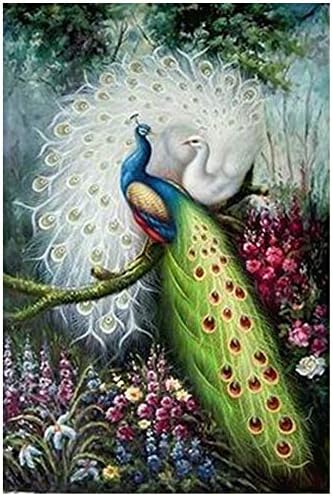 おしゃれ 絵画 インテリア 100 手描きのストレッチと額縁のカラフルな孔雀油絵キャンバスの壁アートアートポーチ廊下通路用 サイズカスタマイズ可能 Lbwarmb Size 60x80cm