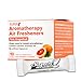 Crushables Air Freshener: 100% Pure Essential Oils. Chemical Free. Air Freshener for Home, Car, Gym Bag, Bathroom, Closet, Laundry, Trunk, and Small Spaces. Instant Aromatherapy in Just One Crush! Box of 10 (Pink Grapefruit)