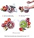 Kitchen Plus 3000 Food Chopper - 8 in 1 Manual Food Processor Chop, Blend, Whip, Mix, Slice, Shred, Julienne, and Juice - As Seen on TV