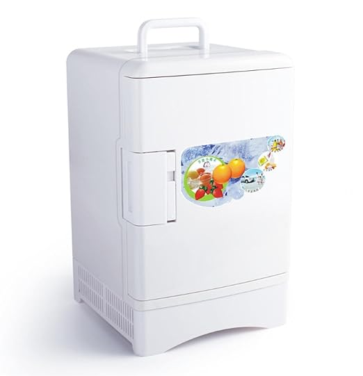 HL Mini Refrigerador Para Automóvil, White,white: Amazon.es: Hogar