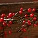 Decorative Artificial Vinyl Garland with Tiny Red Berries for Christmas Holiday Decorating and Home Decor | Use Indoors or Outdoors