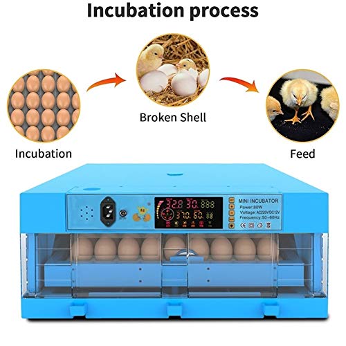CHICTI Inkubator Vollautomatisch Brutmaschine Auto Flip Eierbrutkasten Mit Effizienter LED Beleuchtung Für Hühnergans… – Bild 6