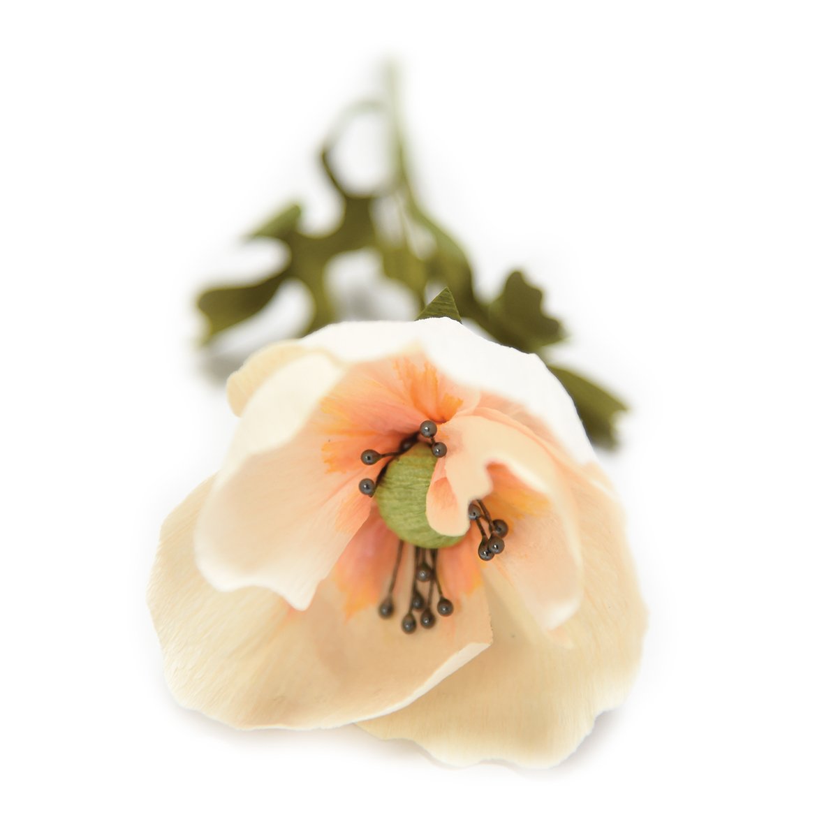 Spellbinders Spellbinders Steel Rule Die -Simple Anemones