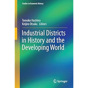 Industrial Districts in History and the Developing World (Studies in Economic History)