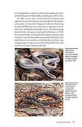 Corn Snakes: The Comprehensive Owner's Guide
