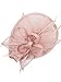 Vijiv Women Vintage Derby Fascinator Hat Pillbox Headband Feather Cocktail Tea Party