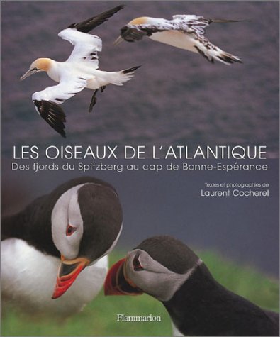 Les  oiseaux de l'Atlantique