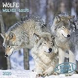 Wölfe - Wolves - Loups 2020 Artwork by 