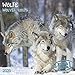 Wölfe - Wolves - Loups 2020 Artwork by 