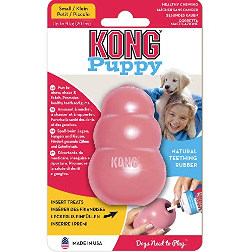 KONG - Puppy Toy Natural Teething Rubber - Fun to Chew, Chase & Fetch (Colour May Vary) - For Small Puppies