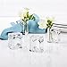 Deco-Mate Acrylic Napkin Rings Bud Vase Flower Holder – Clear - Table Décor, 2-in 1 Set of 12