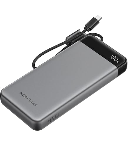 Amazon.com: EF ECOFLOW Rapid 45W Power Bank 3-in-1 Portable