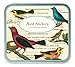 Cavallini Decorative Stickers Birds, Assorted